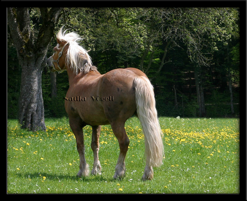 Mit Wind in den Haaren...