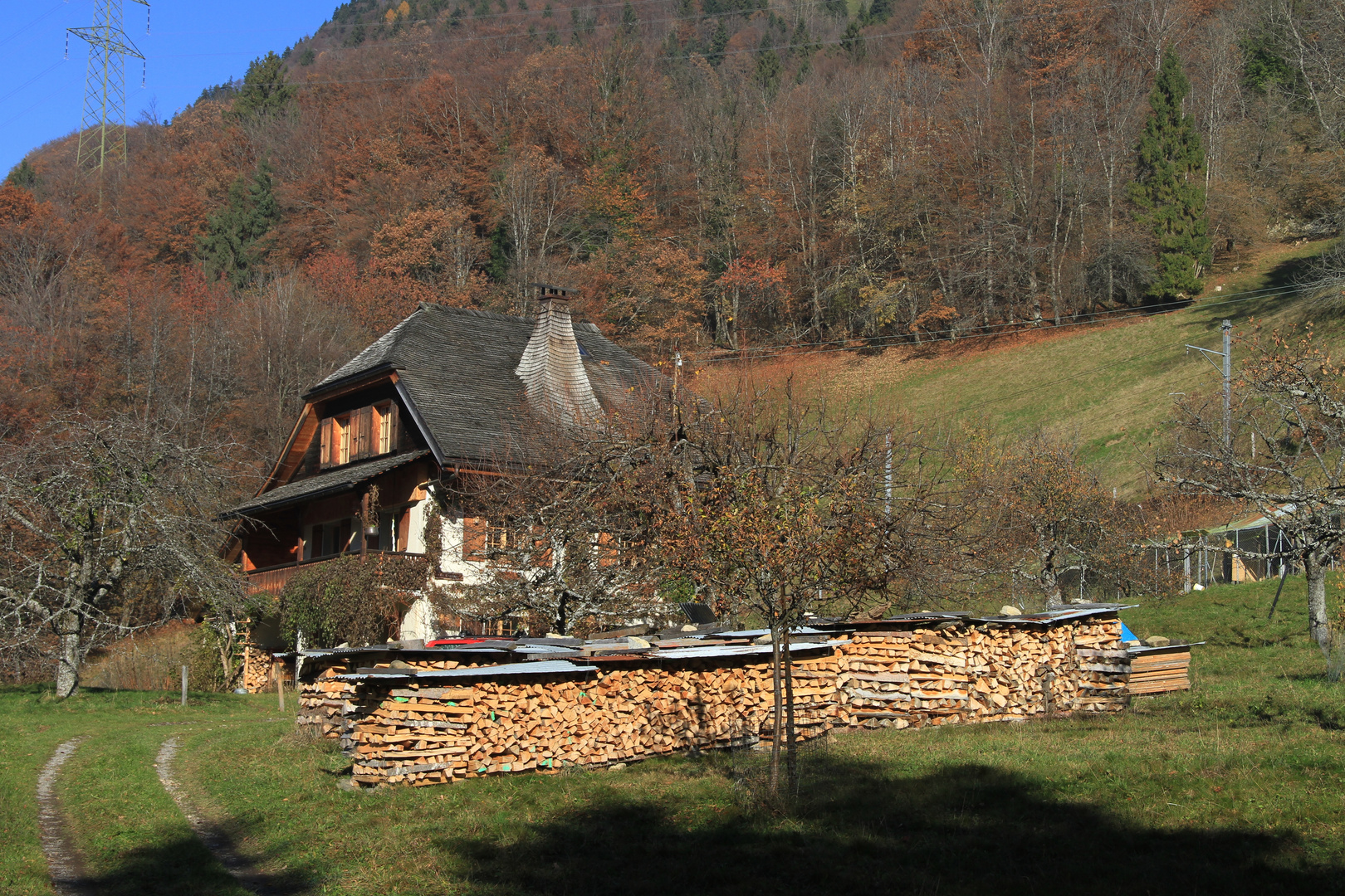 Mit Wintervorrat vor dem Haus