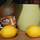 Mit Zitronen gehandelt ?