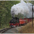 Mit zwei Klappdeckelwagen hinter Steinbach