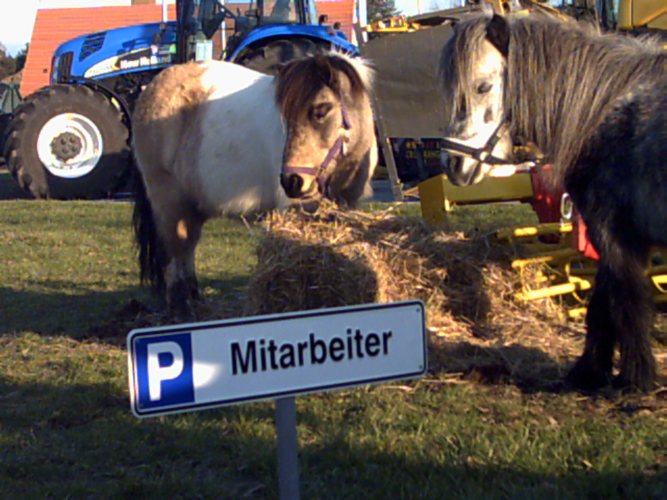 Mitarbeiter