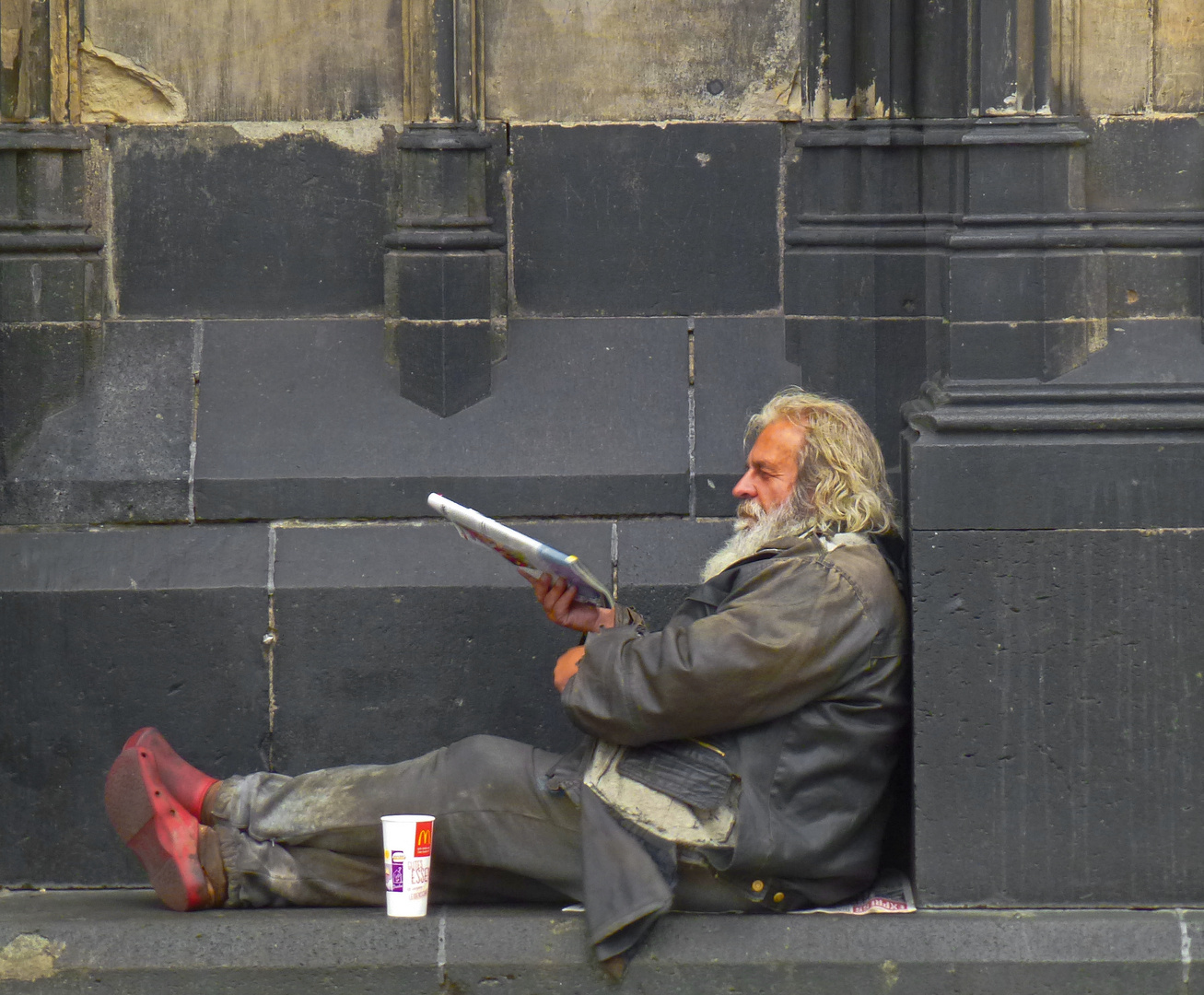 Mitbewohner am Dom ...