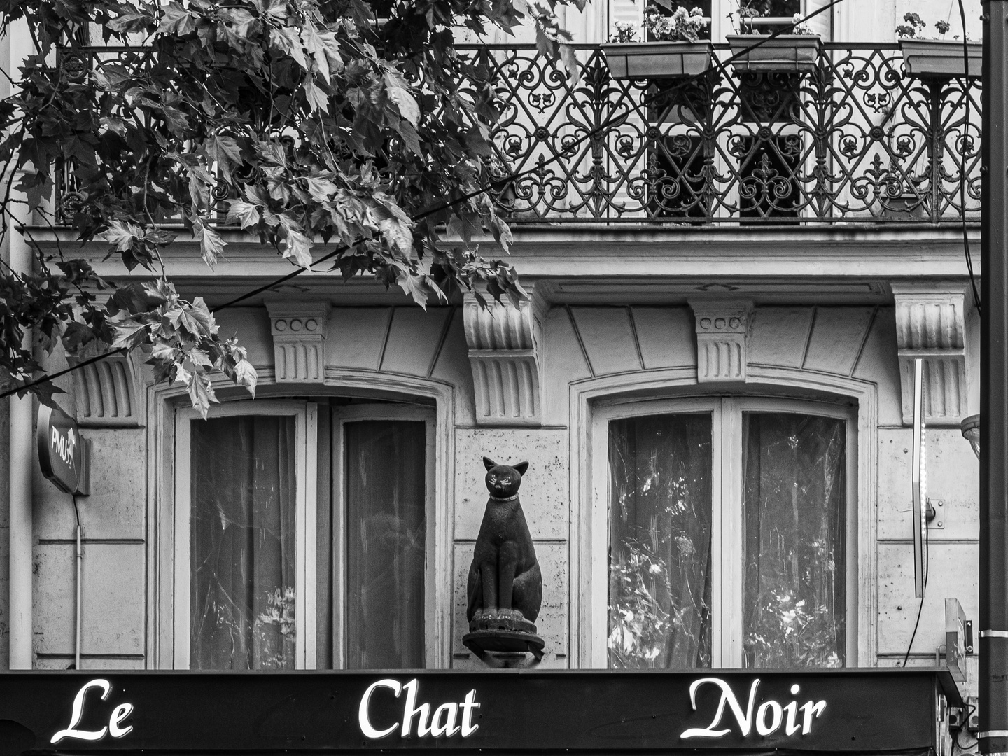 Mitbringsel Nr. 7 - Le chat noir