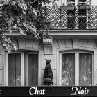 Mitbringsel Nr. 7 - Le chat noir