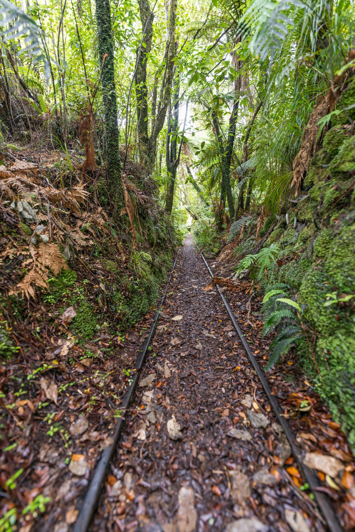 Mitchells Gully 1