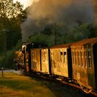 Mitfahrt im Personenzug nach Lauterbach...