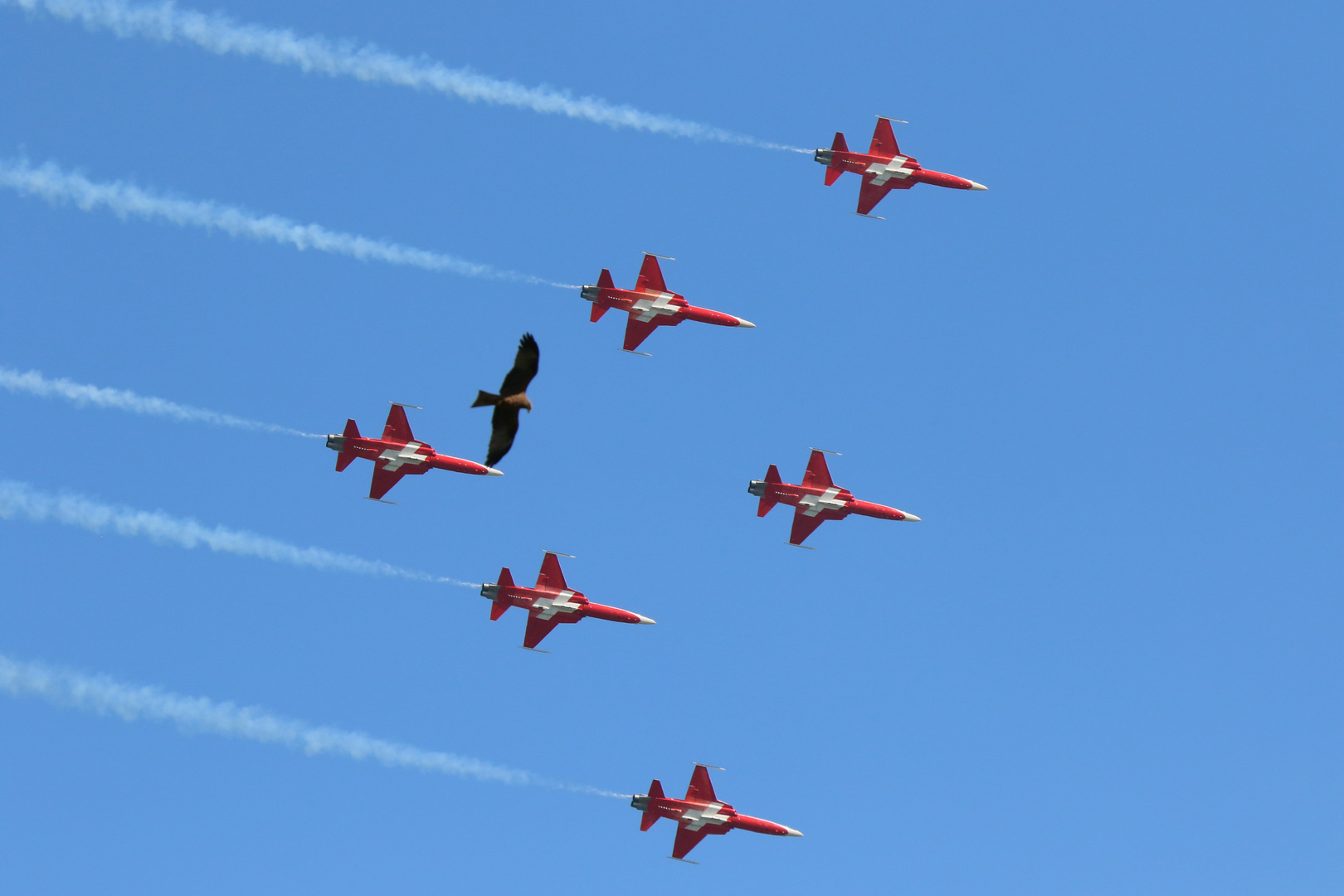 Mitflieger im Team der Patrouille Suisse