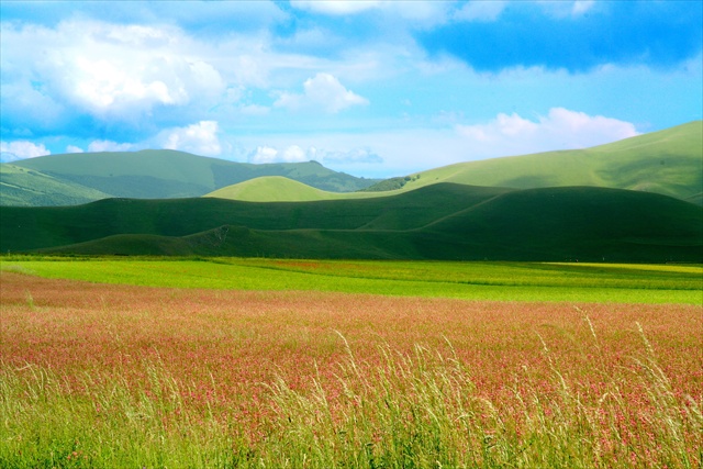 mitico castelluccio