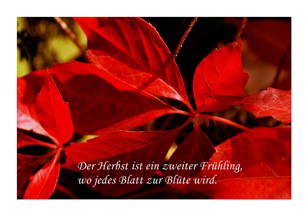 Mitmach-Aktion: Herbst