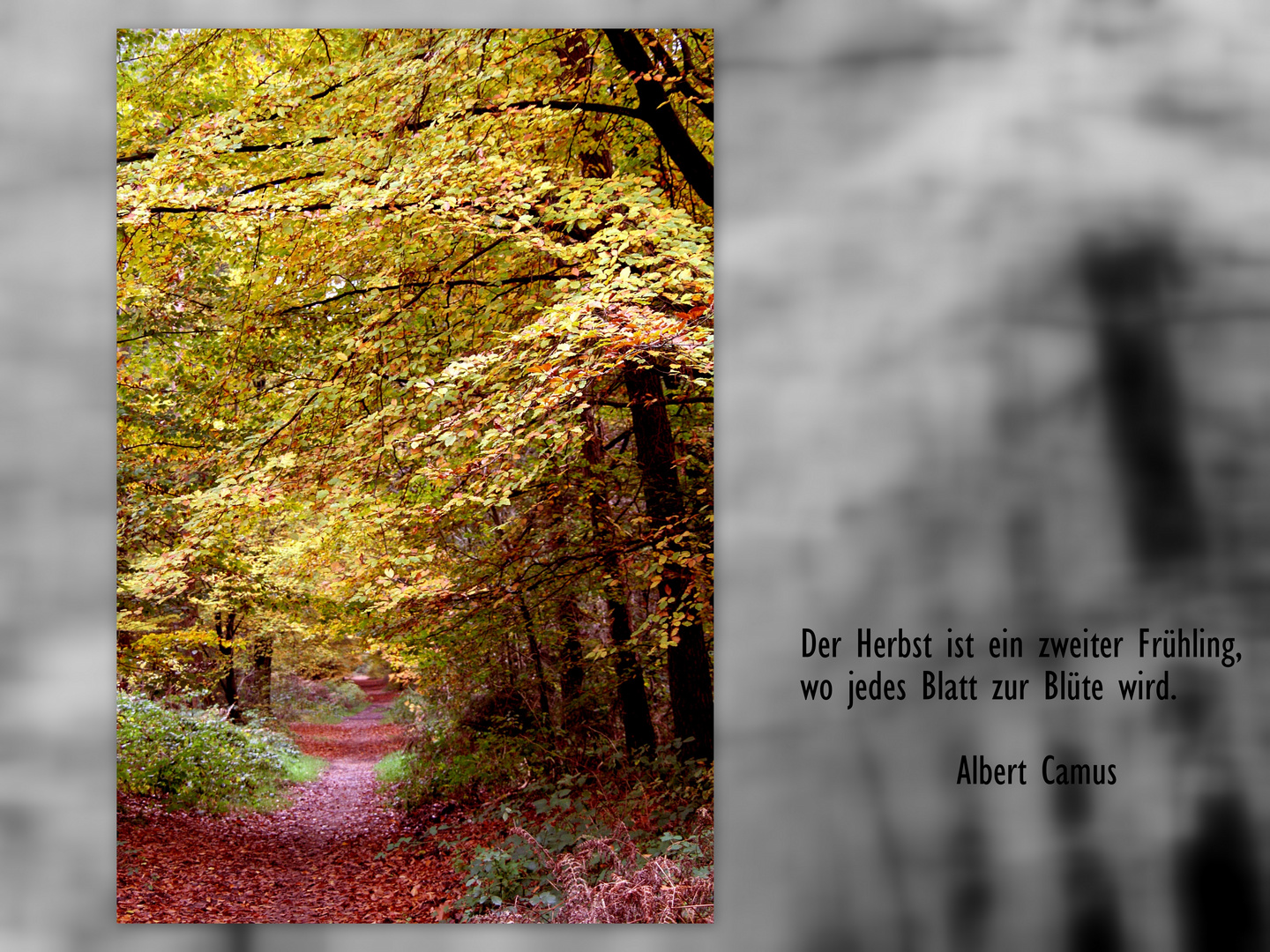 Mitmachaktion: Der Herbst ...