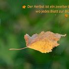 MITMACHAKTION - Herbst