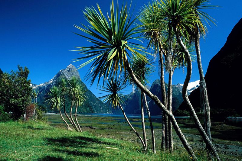 Mitre Peak, Milford Sound