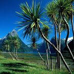 Mitre Peak, Milford Sound