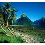 [ Mitre Peak • Milford Sound, South Island ]