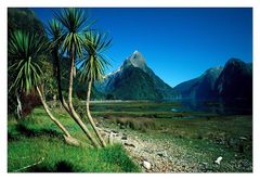 [ Mitre Peak • Milford Sound, South Island ]