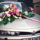 Mitsubishi Galant 1995