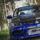 Mitsubishi Lancer Evo IX - Waldbesuch