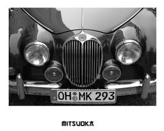 Mitsuoka