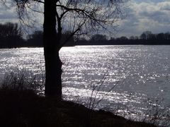 Mittag an der Elbe...