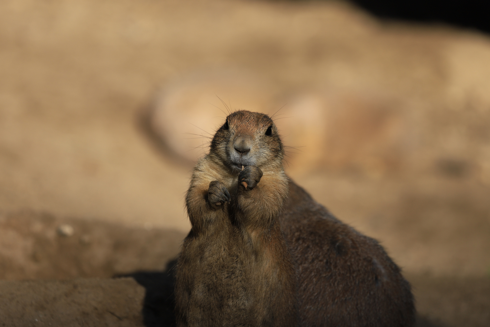 Mittag bei Hagenbeck_03