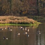 Mittag in der Sonne