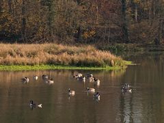 Mittag in der Sonne