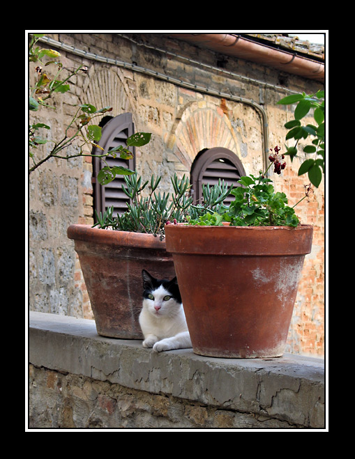 Mittag in San Gimignano