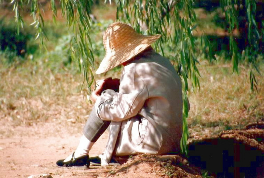 MITTAG  SCHLAF  "NOON BREAK UNDER A TREE"