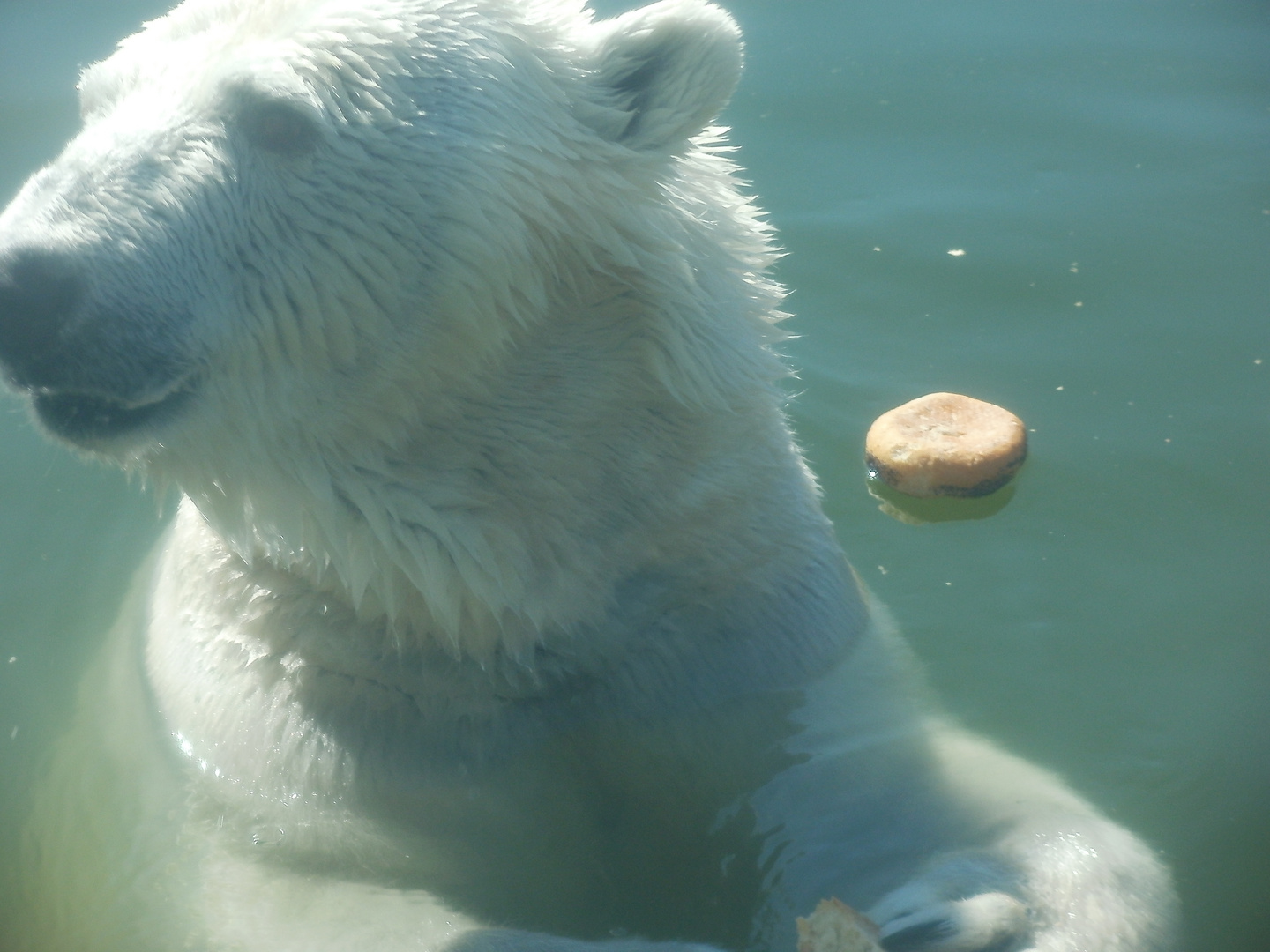 Mittagessen ?