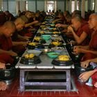 Mittagessen der Mönche in Yangon