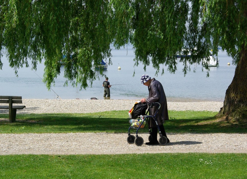 Mittags am Ammersee