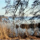 Mittags am Kellersee in Bad Malente-Gremsmühlen