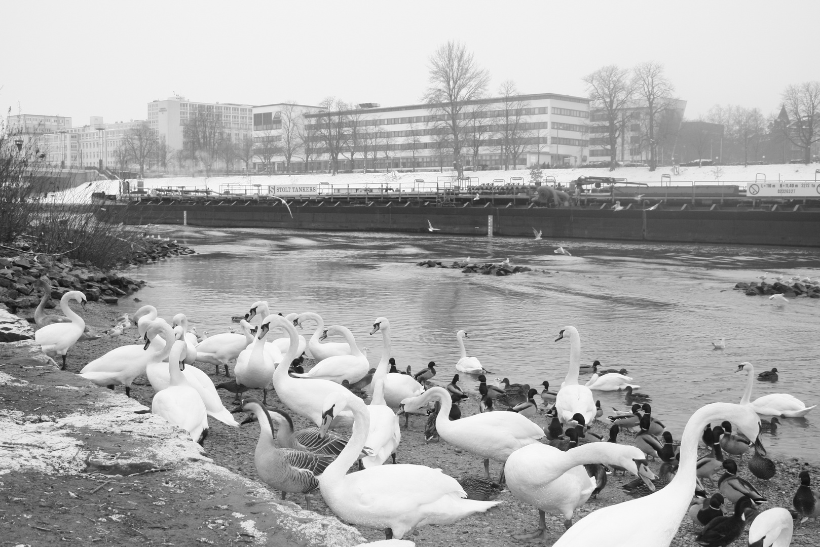 mittags am neckar...