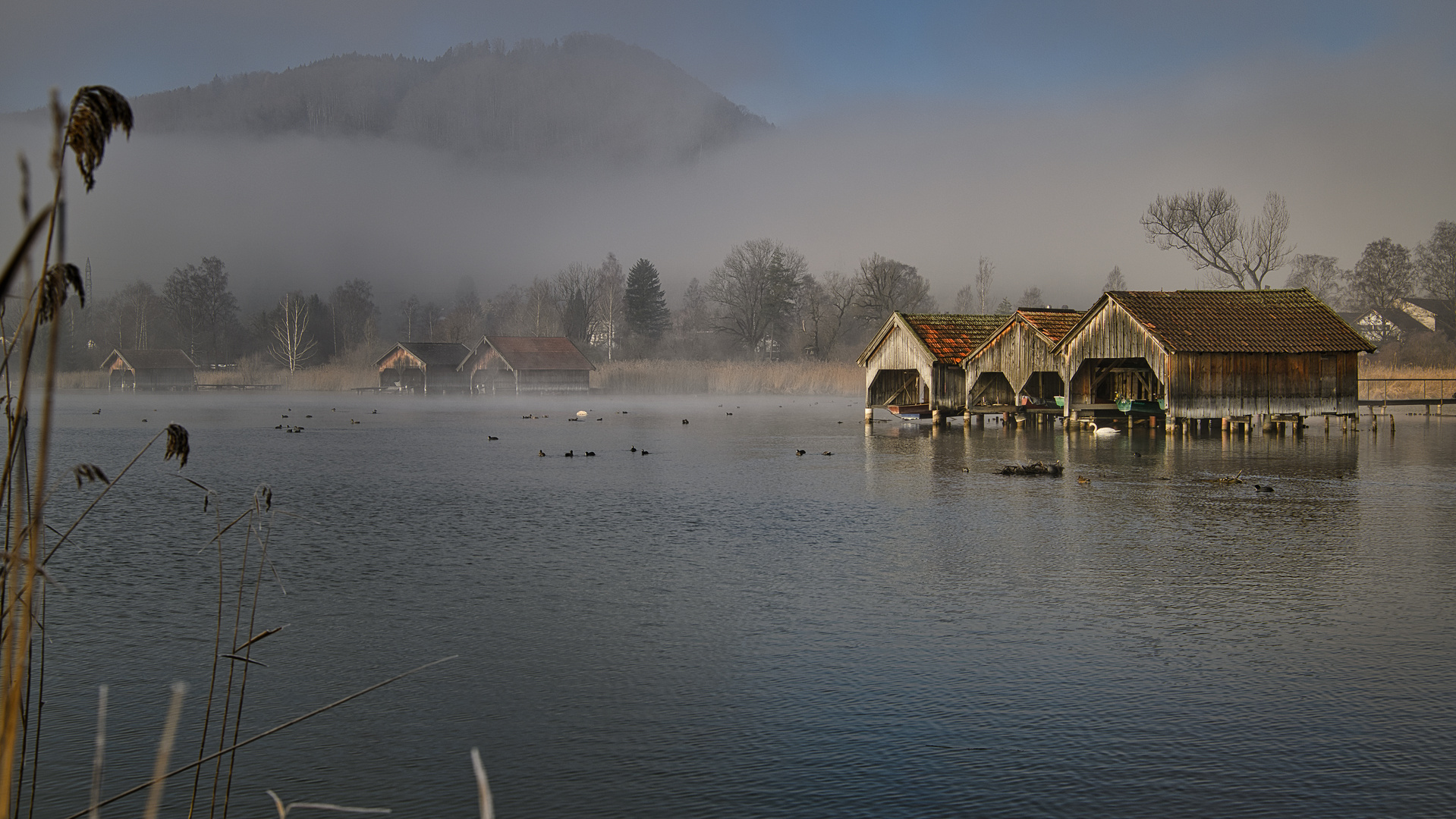 Mittags am See