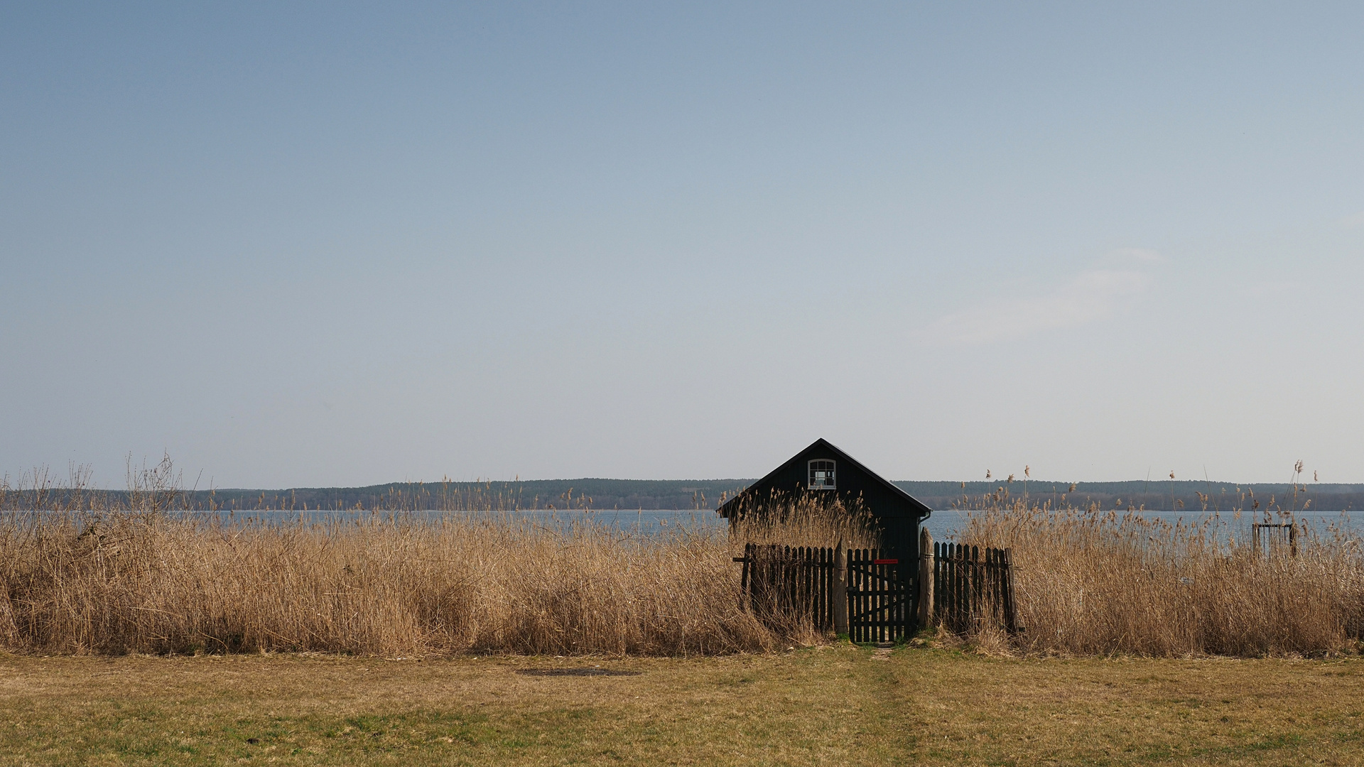 Mittags am See