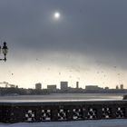 Mittags an der Alster