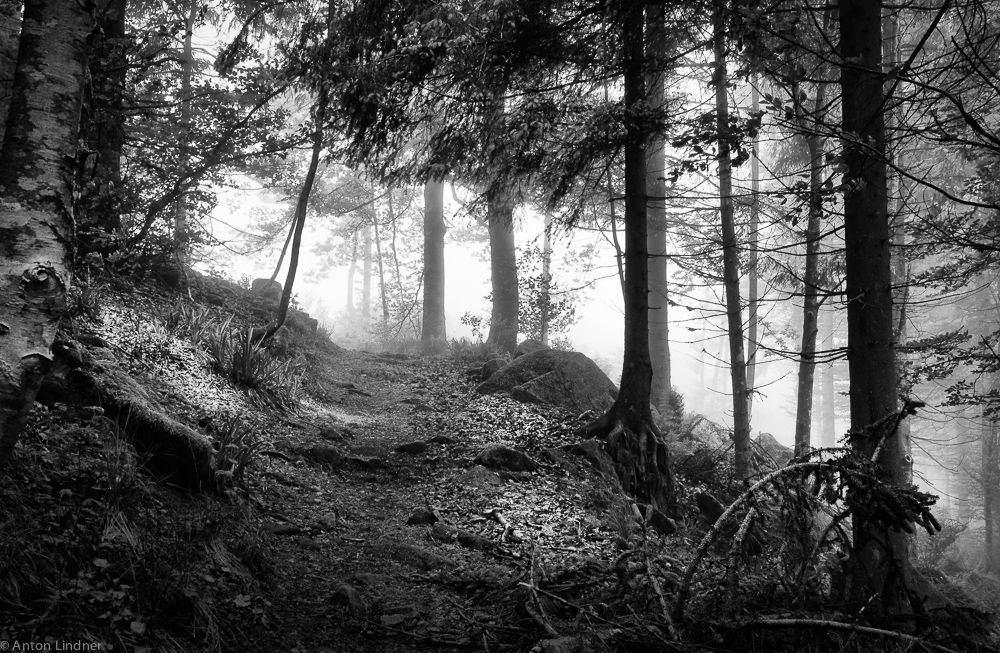 Mittags auf dem Hochblauen II