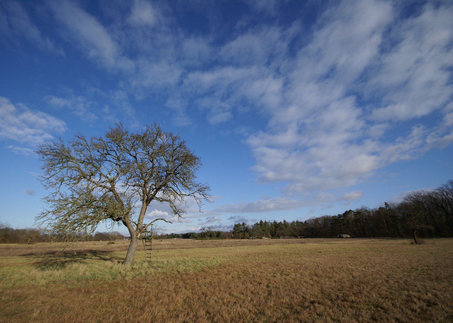 Mittags im Dezember