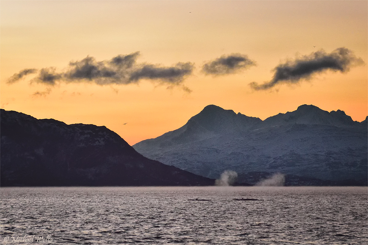 Mittags im Fjord