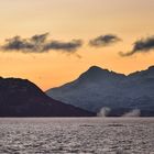 Mittags im Fjord