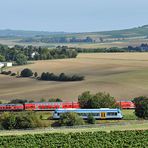 Mittags in Rheinhessen - I -