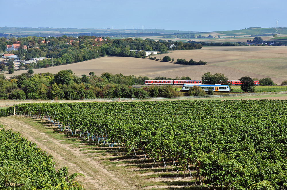 Mittags in Rheinhessen - II -