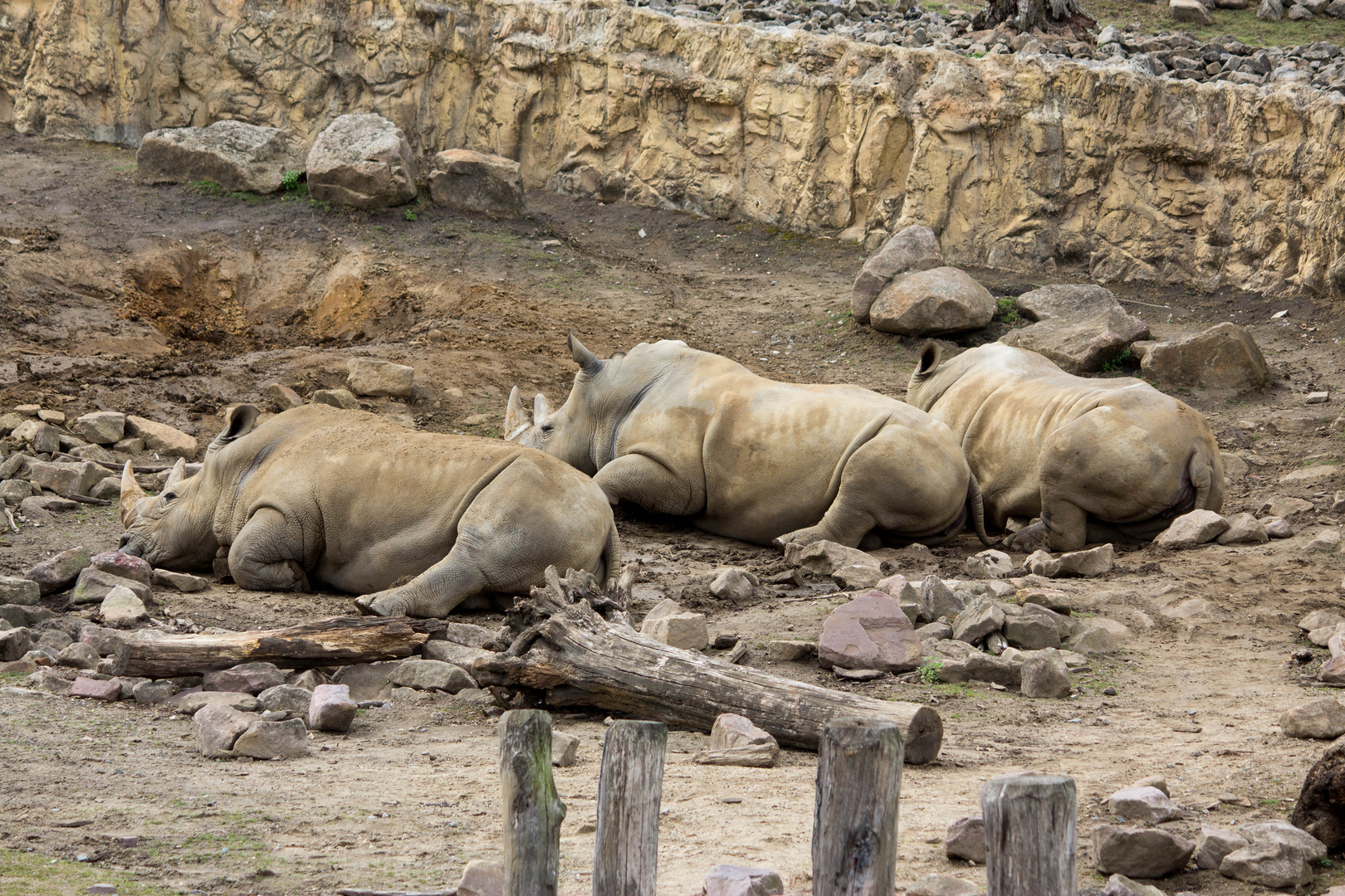 Mittags Siesta