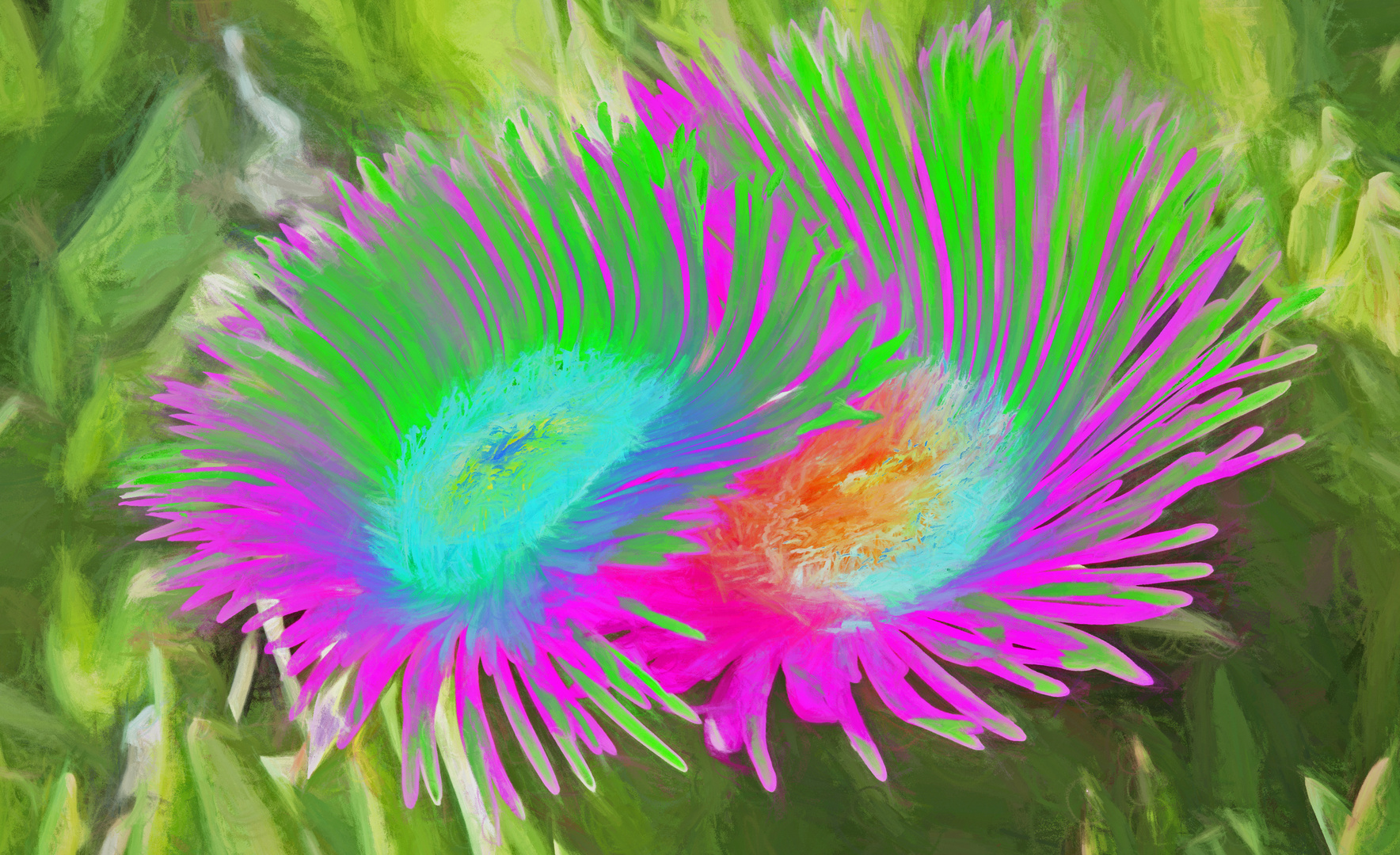 Mittagsblumen -  abstrakte Zuechtung -
