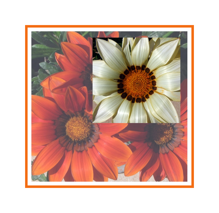 Willkommen, liebe Kunstliebhaber!  Entdecke die Magie der Mittagsblumen-Bilder!