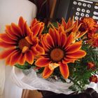 Mittagsgold und Tagetes