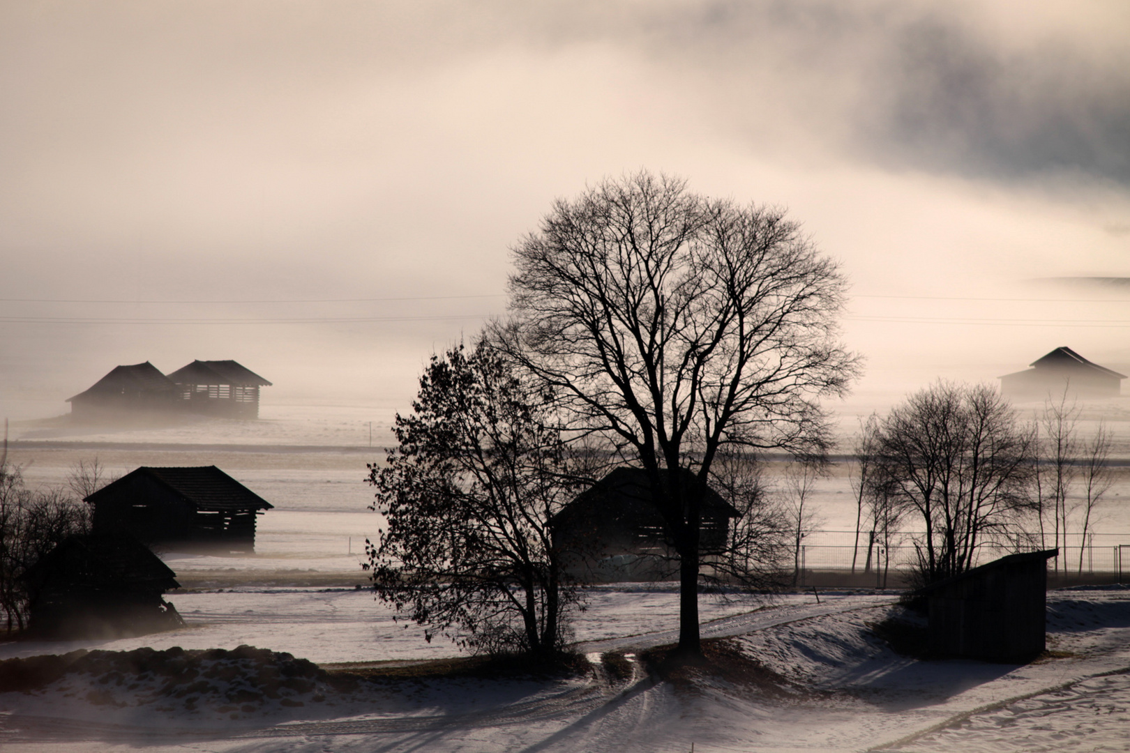 Mittagsnebel im Winter