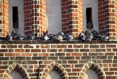 Mittagspause am Giebel der Mönchskirche in Salzwedel