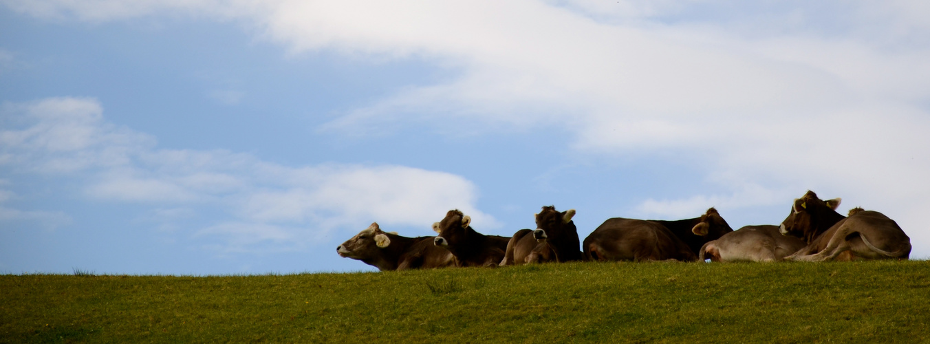 Mittagspause am Horizont