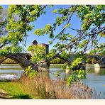 Mittagspause am linken Rhône-Ufer